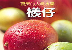 鄉間小路--夏天的人氣水果-檨仔