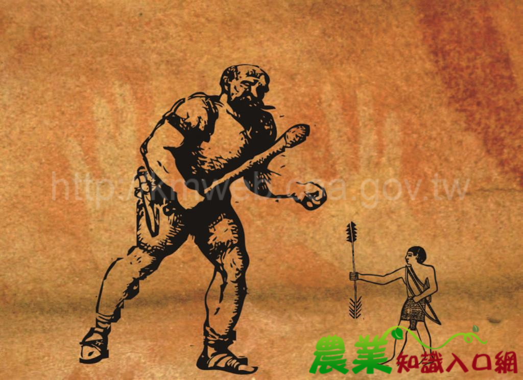 阿美族的巨人傳說