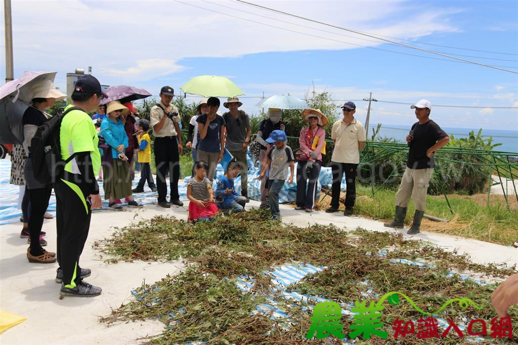 農田即是教室　農改場帶著學校一起做食農