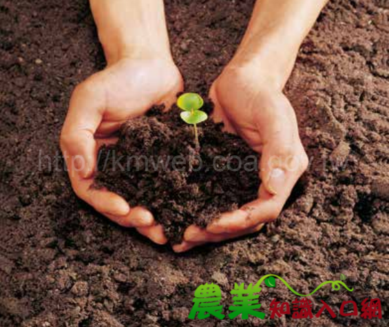 土壤重要知多少？