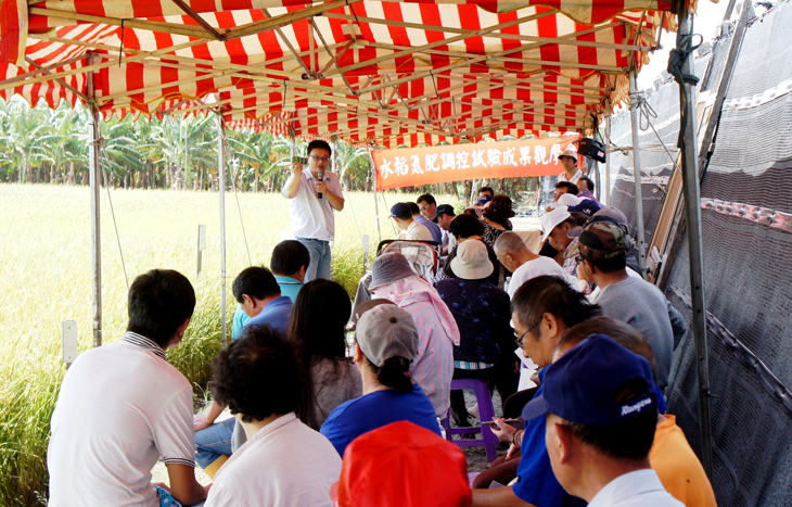 稻米優質健康,臺東場舉辦「水稻氮肥調控試驗成果觀摩會」,請農友認識品種,精準施肥,安全用藥