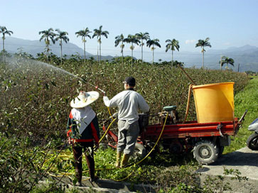 手握三星兩樣寶的樂活農家—徐進忠 三星花卉產銷第六班班長