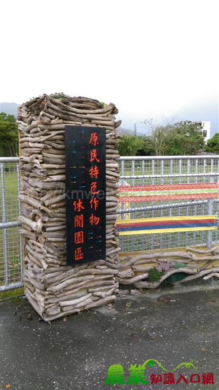 經過重新規劃與設計　原住民特色作物園區要以嶄新面貌迎接大家啦