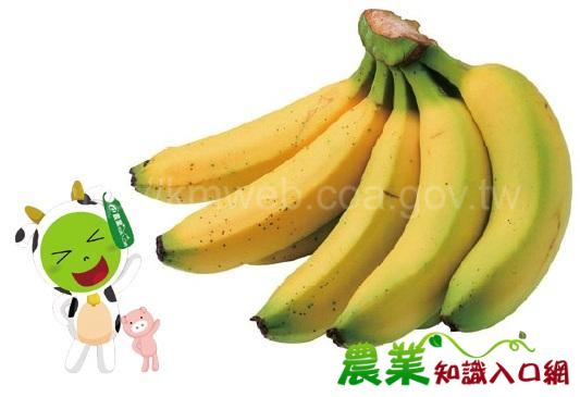 香蕉冷飲DIY建議作法