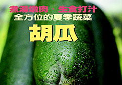 鄉間小路--全方位的夏季蔬菜~胡瓜