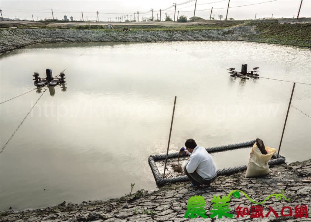 把關流動水，疾病難越雷池