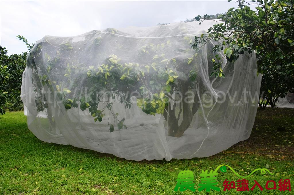 減少颱風災害 防颱罩得住