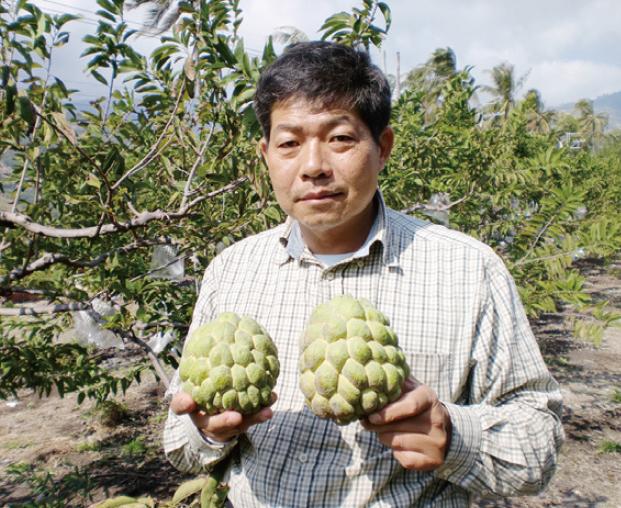 日出之鄉好釋迦