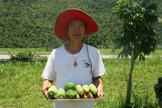 推動生態平衡農法  樂當生物防治科技研發先鋒部隊------花蓮志學有機農場場長陳長宏