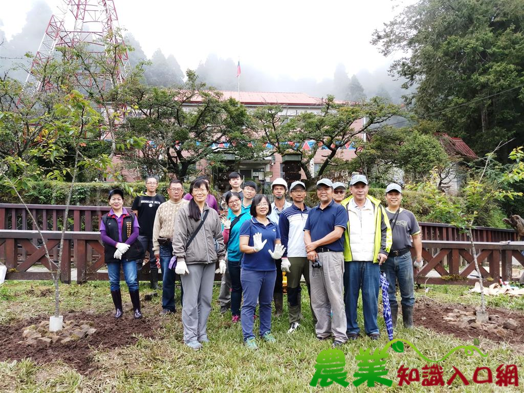 動手來護櫻花樹 棲地改善最重要