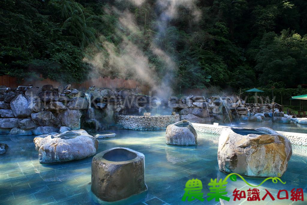 林務局「Trip森林 揪好森」主題館登場旅展 情境式五感體驗超吸睛