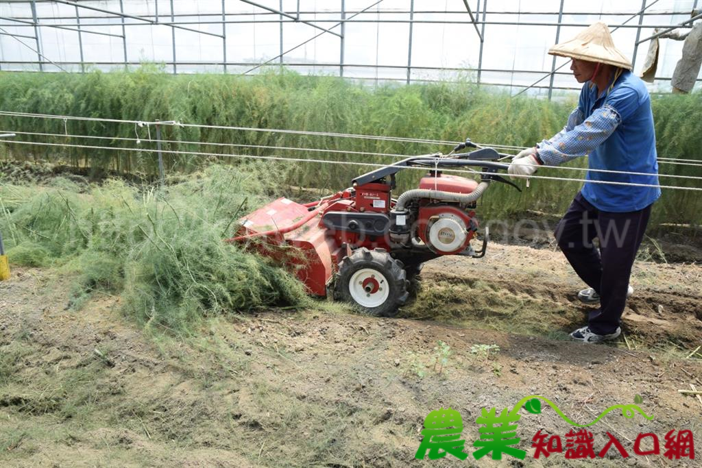 設施蘆筍省工生產技術，整套報你知