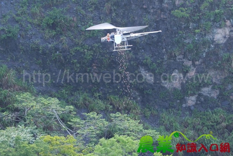 利用無人機空投種樹 守護山林「創新」機