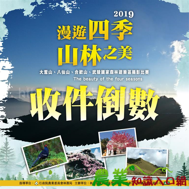 拍攝美景得大獎 收件倒數計時中