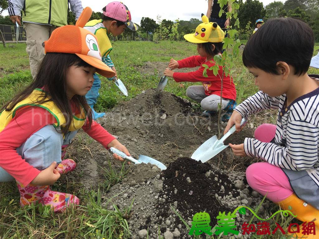 花蓮林管處「楓情萬種(ㄓㄨㄥˋ)在東華」