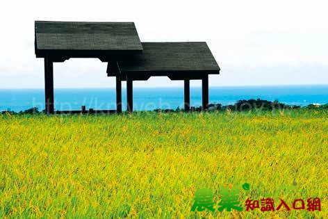 有緣才得見的海市蜃樓路線