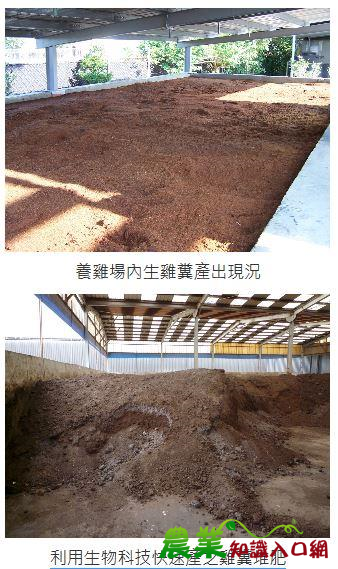 生雞糞化糞成金、加值利用，農民與社區居民雙贏