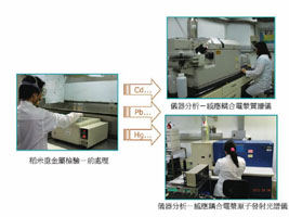 我國稻米重金屬與農藥殘留安全把關技術簡介