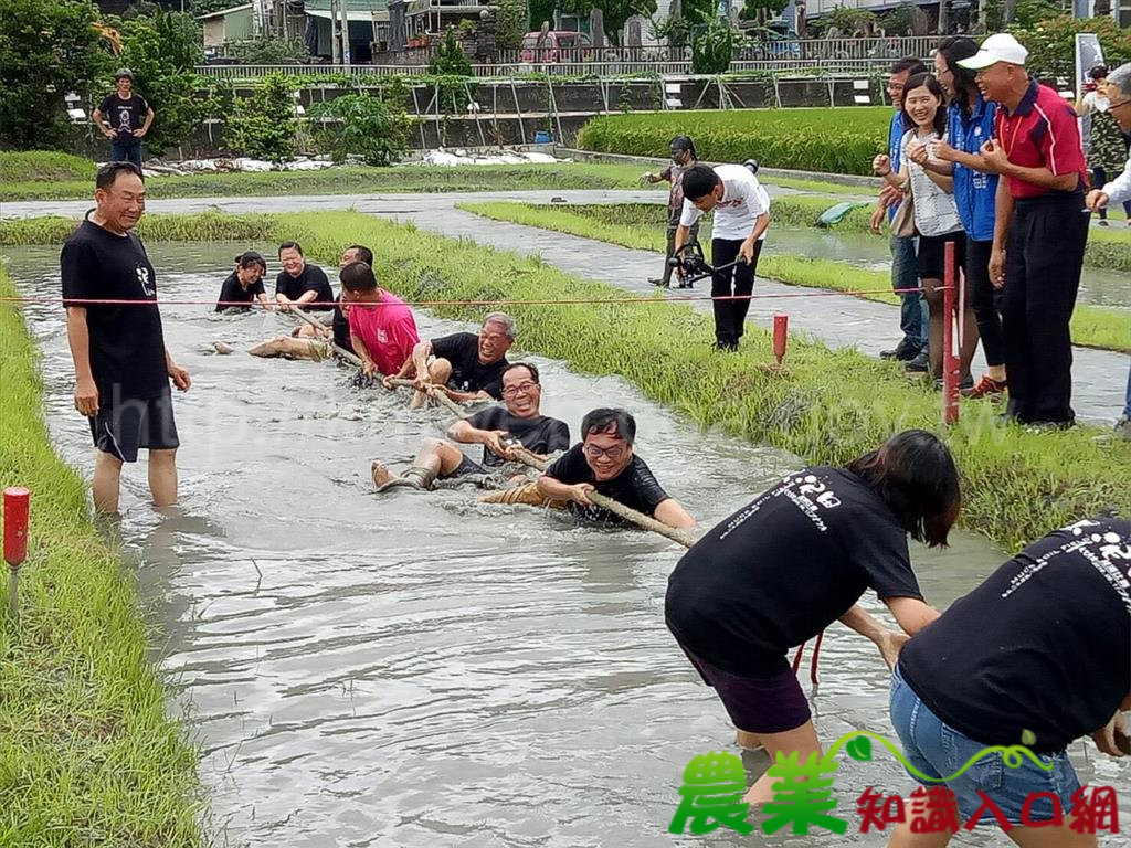 彰化二水第2屆黑泥田拔河比賽即將於6月8日再次隆重登場!