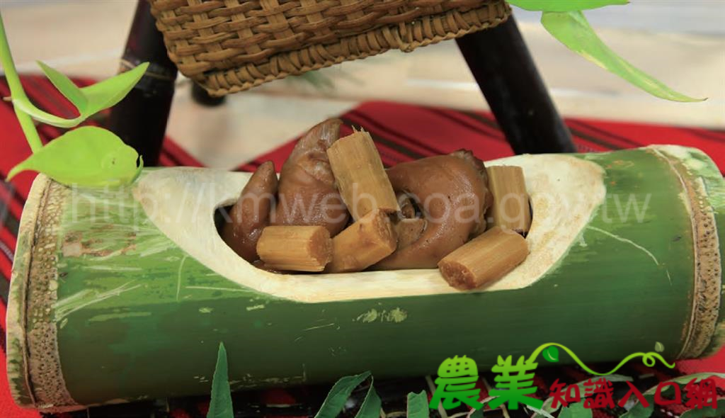 山中傳奇- Mao豬腳