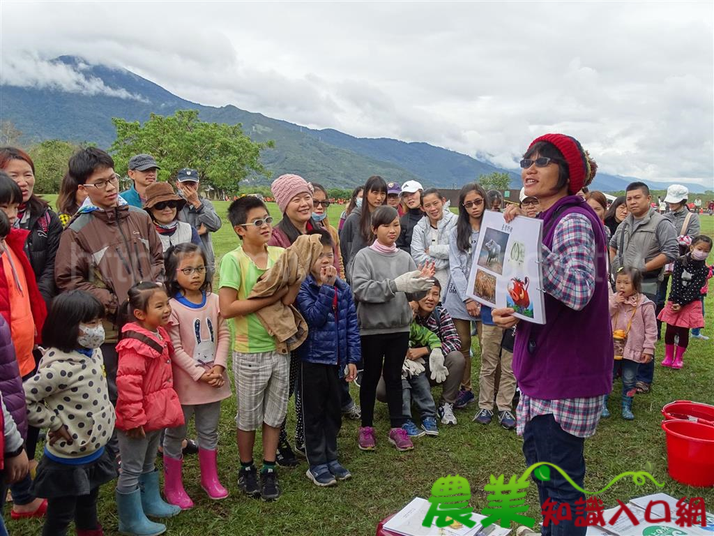 平地森林園區邀您彩繪迎新春