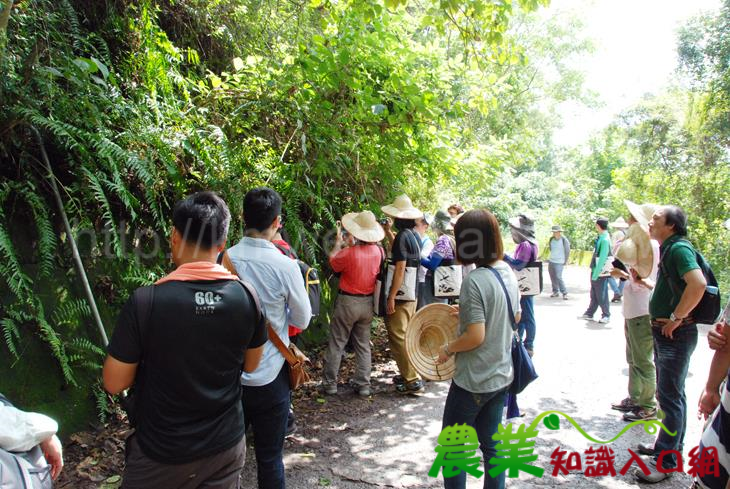 從農新契機，保健植物栽培與利用初階班結訓