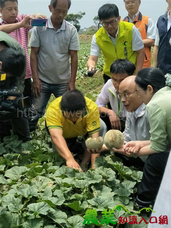 蘇院長赴桃園關心農業災情　指示儘速協助受災農民