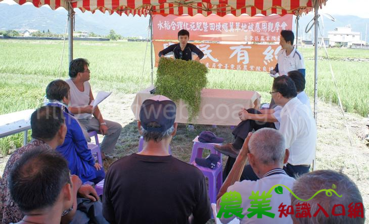 向田埂雜草說掰掰，蠅翼草地被好處多 臺東場舉辦「水稻合理化施肥暨田埂蠅翼草地被應用觀摩會」