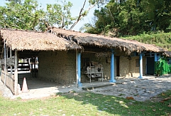 羅山有機村巡禮－尋找台灣的「里山」