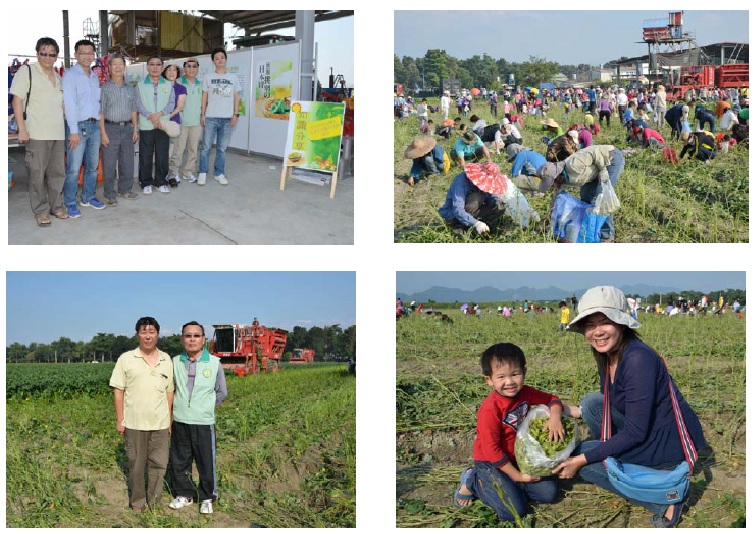 毛豆同樂會-創意、快樂又健康