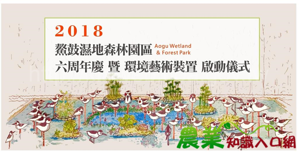 慶祝開園6周年 鰲鼓濕地啟動環境裝置藝術