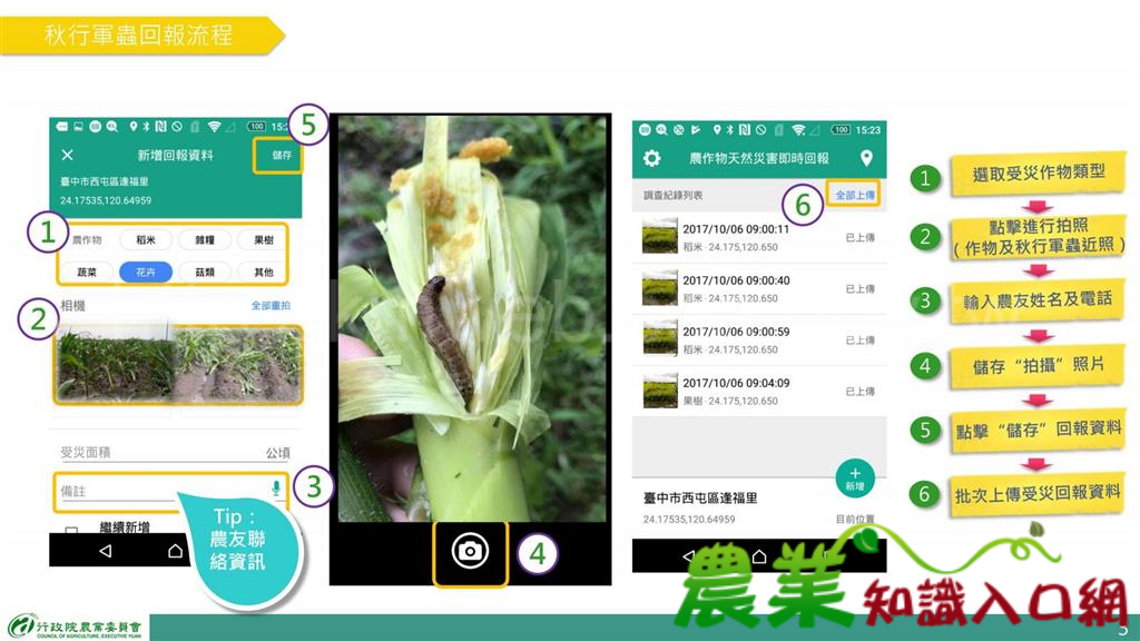 秋行軍重回報流程