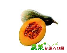 南瓜新品種澎湖1號:菊島之蜜　澎湖2號:菊島之春