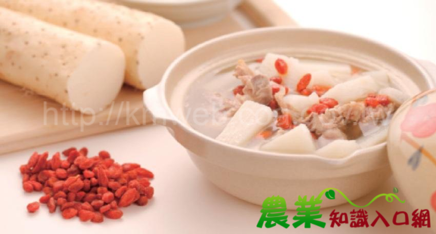 藥食同源-從生活飲食中調養自已的健康