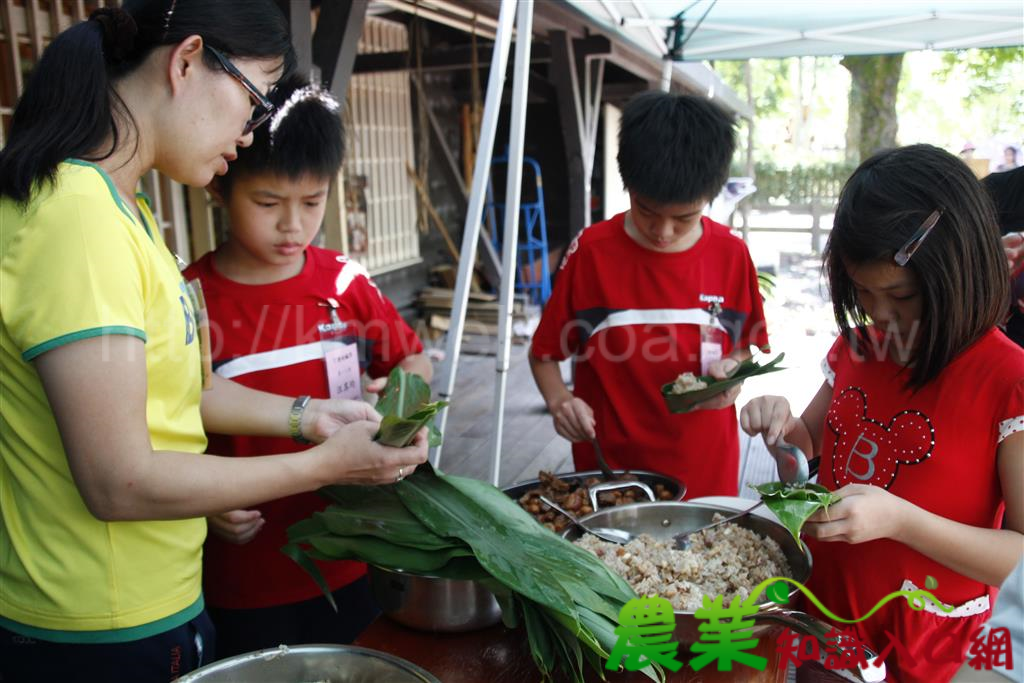 「ㄚ嬤的鹹草」在羅東自然教育中心跟著ㄚ嬤學包水生植物粽！