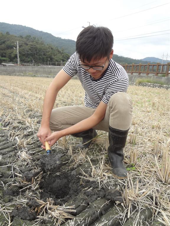 來喔！農改場提供免費土壤健康檢查服務