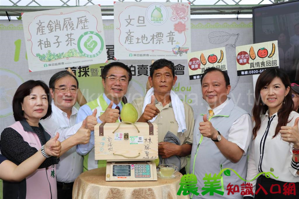 時序入秋 107年產銷履歷麻豆文旦搶鮮上市