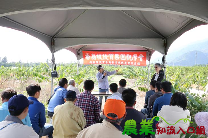 青農接棒！臺東場假李俊儀農友果園，舉辦「優質果園觀摩會」，傳遞作物健康管理概念