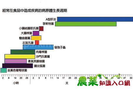 要吃得安心，就要小心　無所不在的微生物