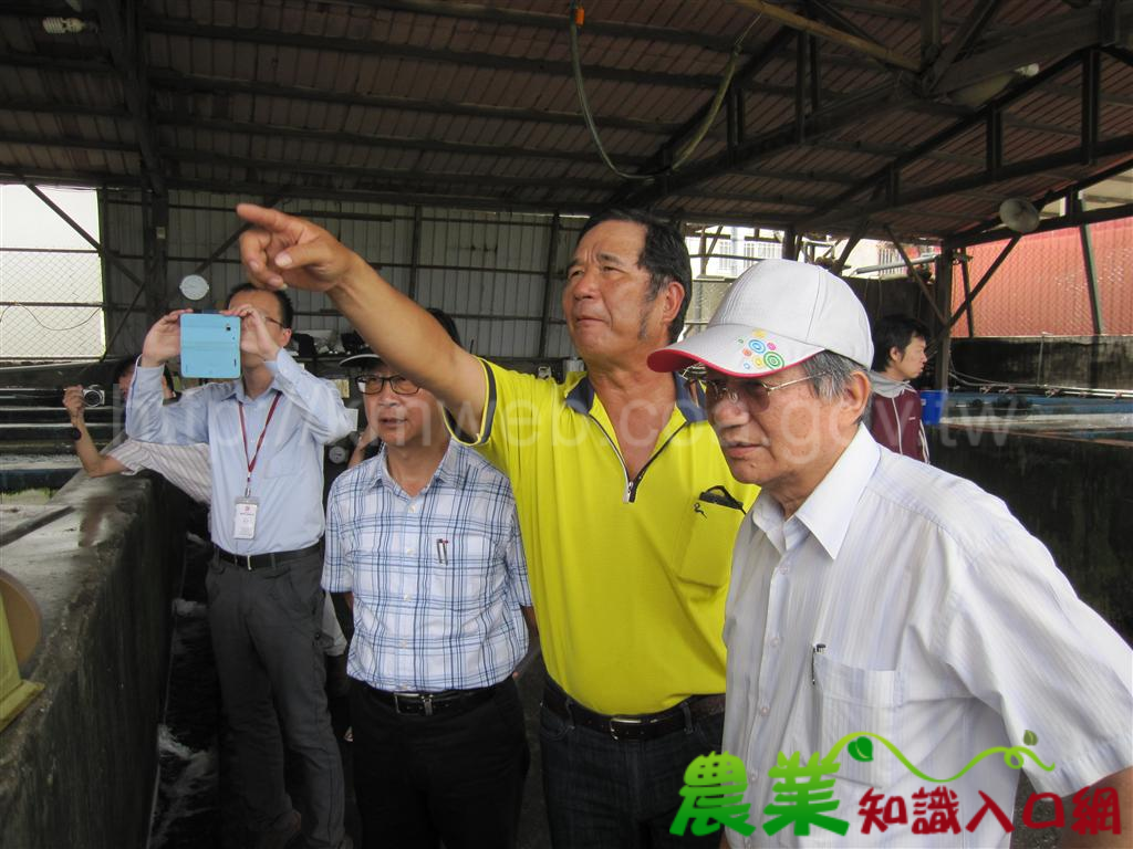 鑽石石斑躍動高雄 農村再生永續心安