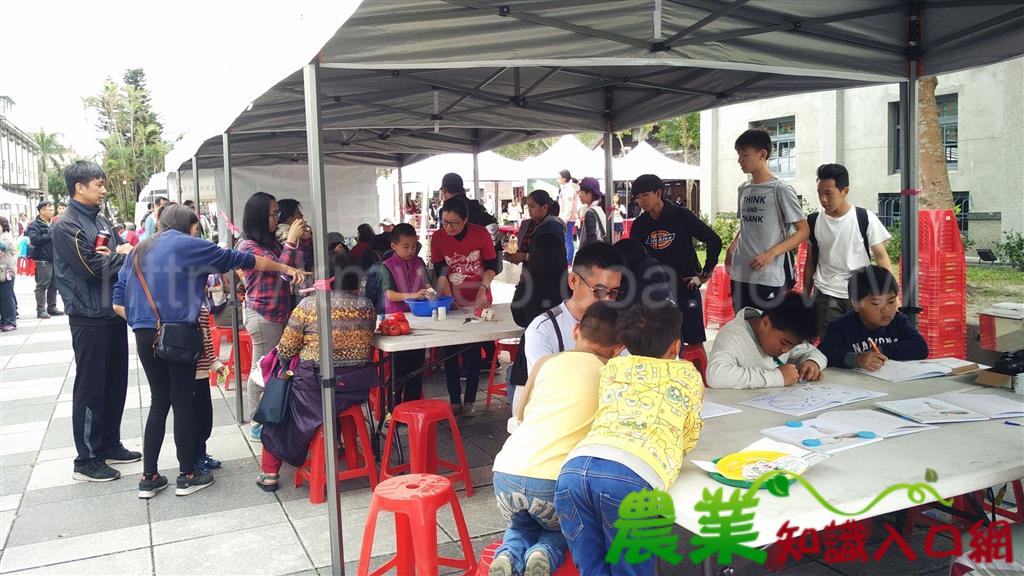 花蓮縣政府與林務局花蓮林區管理處共邀民眾一起來放風箏、一起來「樂齡森活˙保育起飛」