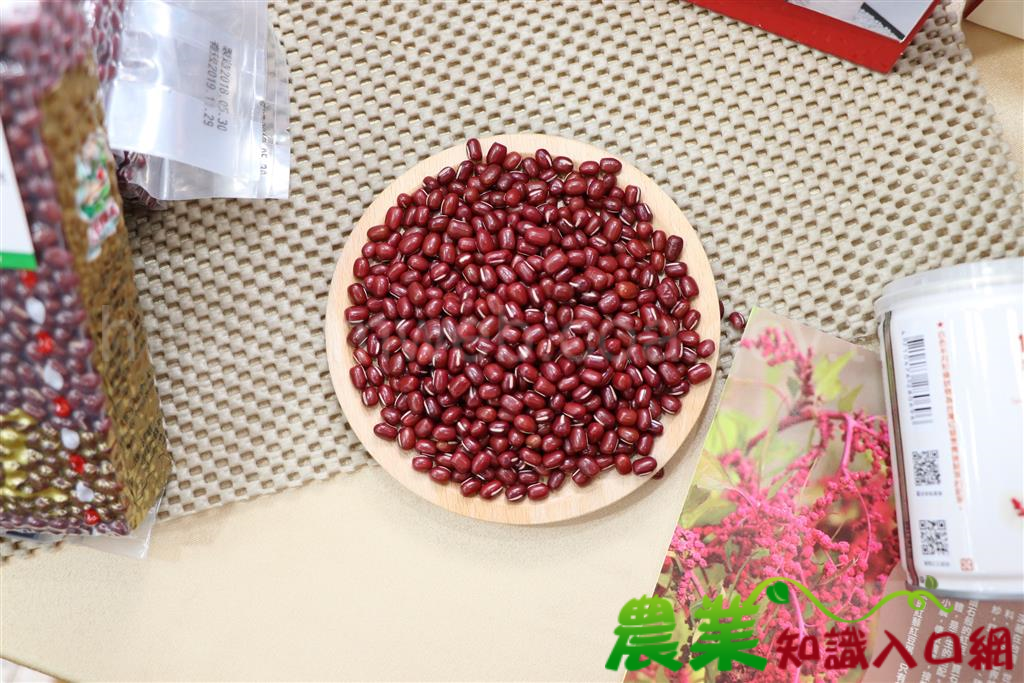 栽培國產紅豆不用巴拉刈 農友多元選擇更益環境