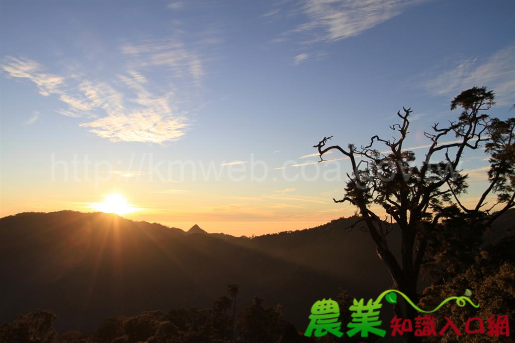 歡慶兒童節！連假期間 12歲以下兒童免費進入林務局各國家森林遊樂區！