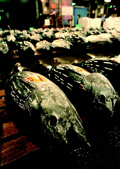 炫過All Pass的好滋味