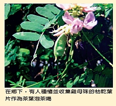 有毒植物對人體健康之影響