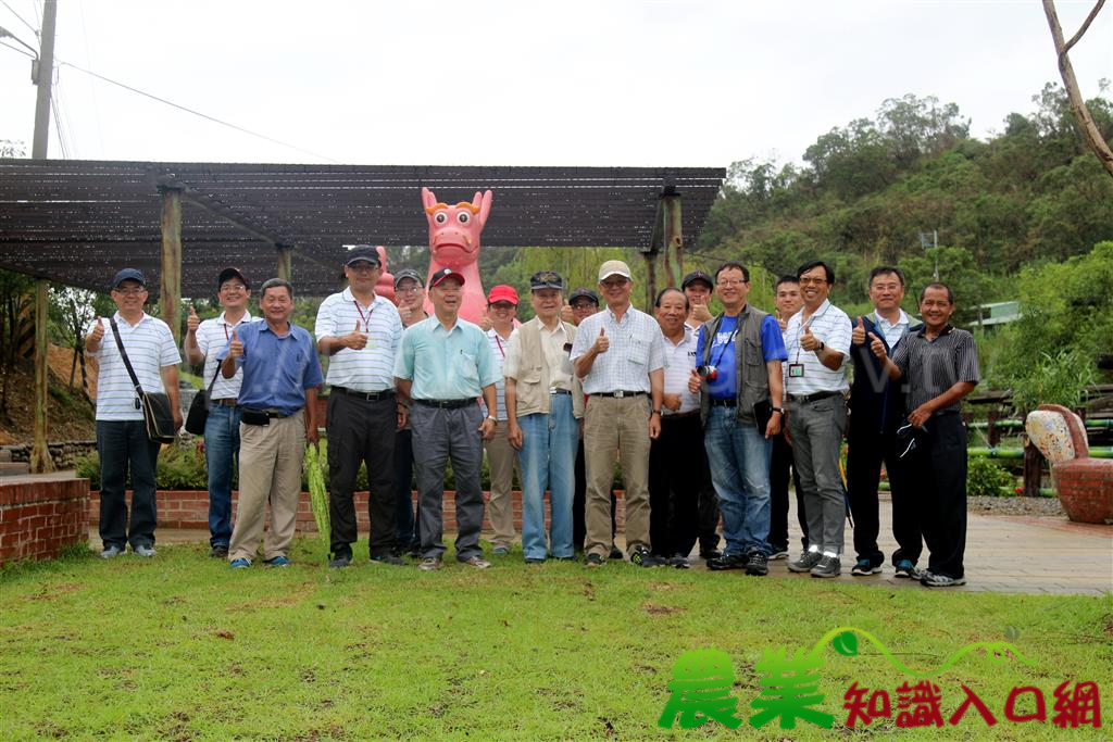 龍目社區”金”好玩~ 龍情覓藝添新妝