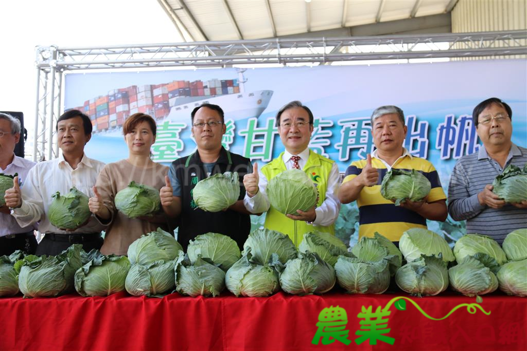 臺灣甘藍再出帆 進軍越南華人市場