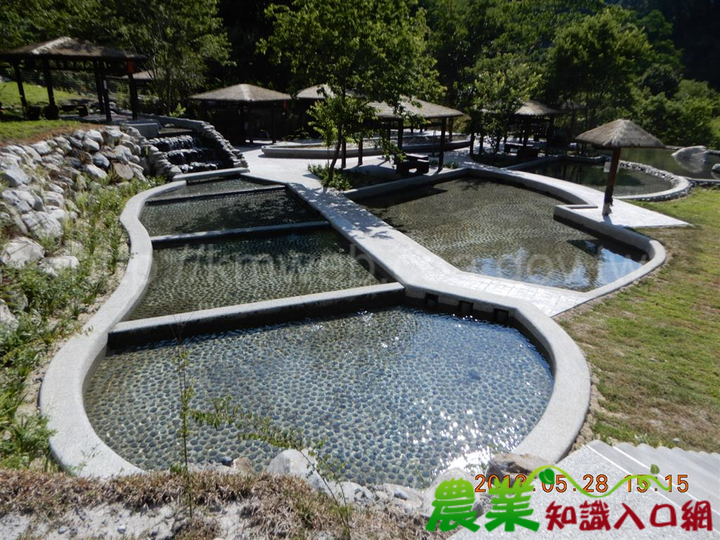 準備好迎接夏天了嗎？ 八仙山國家森林遊樂區親水設施陪您一起「透沁涼」！