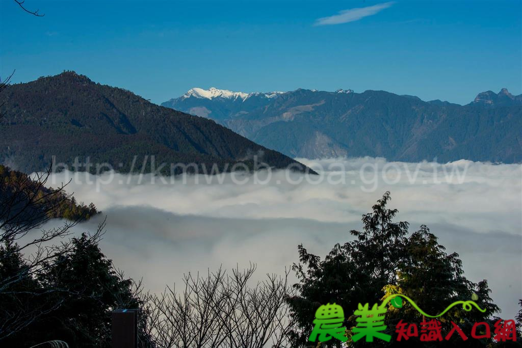 春遊太平山 坐看雲起時