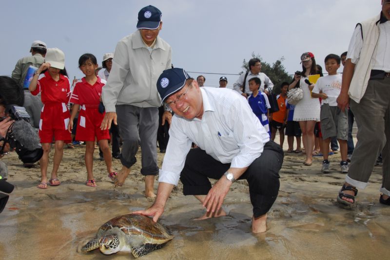 陳主任委員在菊島見證10隻海龜 順利野放重回海洋懷抱